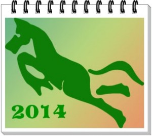 Medinio arklio metai 2014