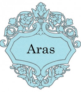 Vardas Aras