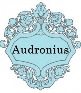 Vardas Audronius