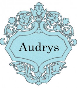 Vardas Audrys
