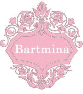 Bartmina