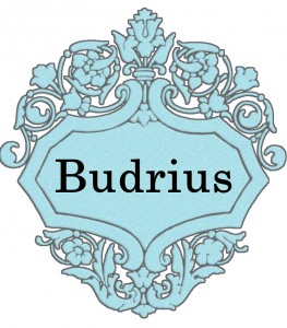 Vardas Budrius