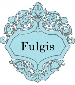 Vardas Fulgis