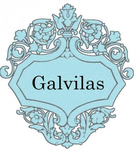 Vardas Galvilas
