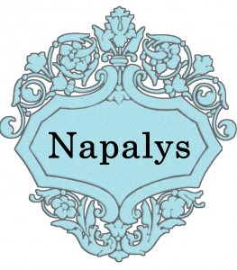 Vardas Napalys