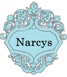 Vardas Narcys