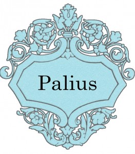 Vardas Palius