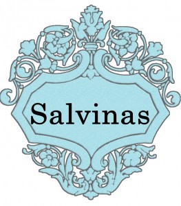 Vardas Salvinas