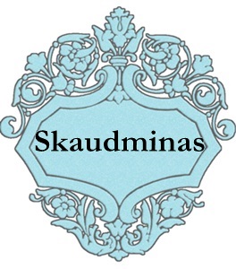 Skaudminas