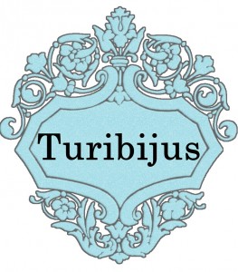 Turibijus