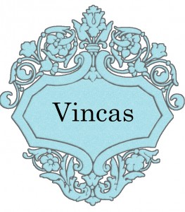 Vardas Vincas