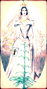 Korta- Baltoji lelija